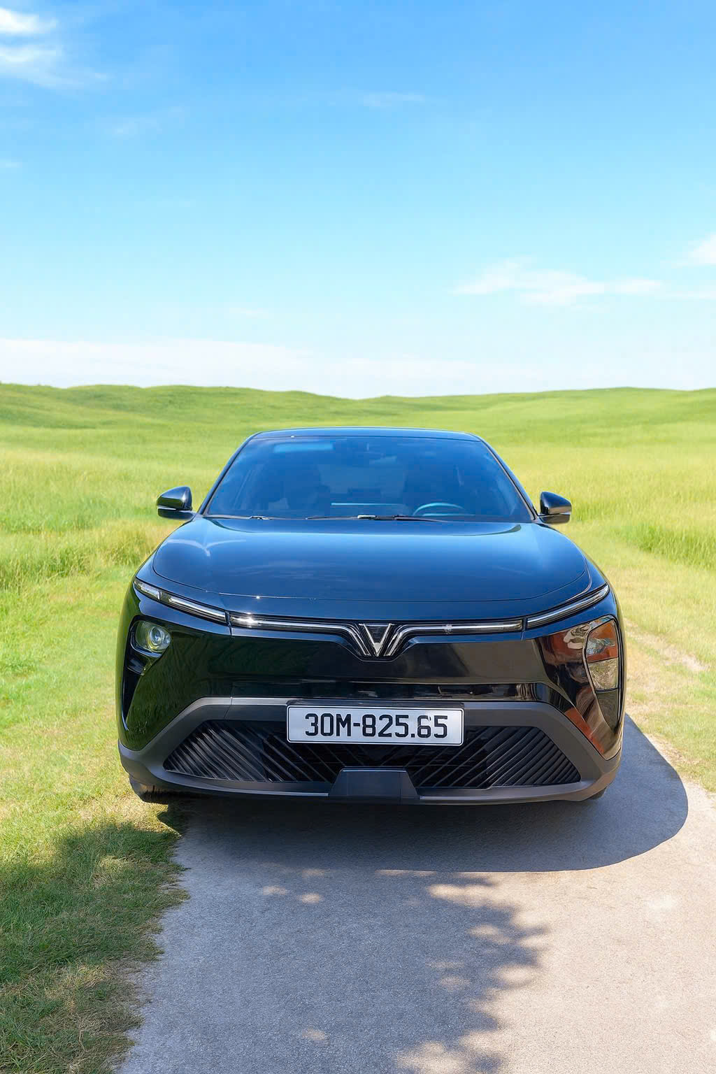 z719477426088368b0cffb4c7f575fe5ecfc96e9e8c934-1